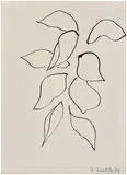 Henri Matisse, Leaves for Verve Magazine, 1948, pen and ink on paper