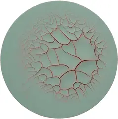 Adriana Varejão, Monocromo redondo Guan, 2014, oil and plaster on canvas