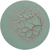 Adriana Varejão, Monocromo redondo Guan, 2014, oil and plaster on canvas