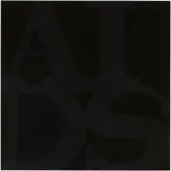General Idea, AIDS (Reinhardt) #4, 1991, oil with beeswax glaze on linen over panel
