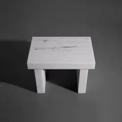 Jenny Holzer, Selection from Survival: The Future is Stupid, 2006, Danby Imperial white marble