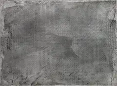 Rudolf Stingel, Untitled, 2007, oil on canvas