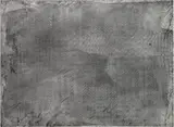 Rudolf Stingel, Untitled