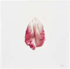 Cj Hendry, Tulip: Epilogue, 2020, colored pencil on paper