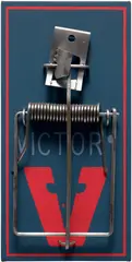 Nick Doyle, Victor, Alpha, 2017, steel and Flashe on canvas over panel