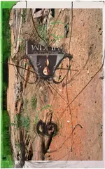 Huma Bhabha, Untitled, 2016, ink, acrylic, oilstick and paper collage on photograph