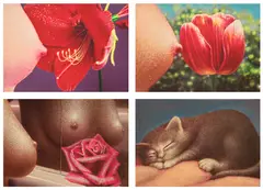 Hilo Chen, Four works: (i) Blossom-19-S-1; (ii) Blossom 20-S; (iii) Untitled; (iv) Untitled, 1984, oil on canvas