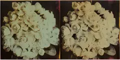 Mary Weatherford, Camille, 1989, oil and lacquer ink on canvas, in 2 parts