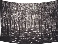 April Gornik, LIGHT IN THE WOODS, STATE II, 2015, jacquard tapestry