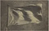 Zhang Huan, Chinese Flag No. 1