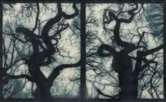 Blot Out the Sun #1 by Doug Starn and Mike Starn, 1998–1999, encaustic and inkjet print on paper, offered Jun 2026