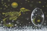 Krishnaraj Chonat, Untitled, 2007, acrylic on paper