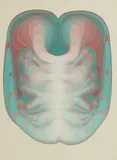 Peter Schmidt, Green and Pink Brain, gouache