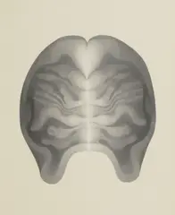 Peter Schmidt, Grey Brain, gouache