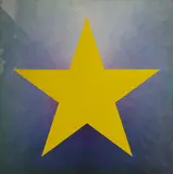 Peter Schmidt, Yellow Star, oil on canvas