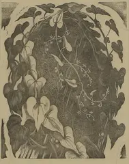 Black Bryony, Poisonous Plants by John Nash, 1927, wood engraving, sold Jul 2026