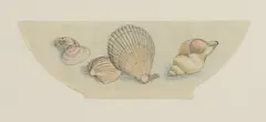 John Nash, A shell design for a bowl, watercolour and coloured crayon with pencil grid lines