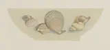 John Nash, A shell design for a bowl, watercolour and coloured crayon with pencil grid lines