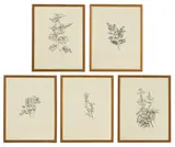 John Nash, Flower drawings, each individually numbered and with edition number 2/65 in pencil l.c.