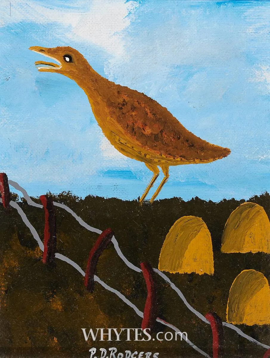 Patsy Dan Rodgers, CORNCRAKE, 2016, oil on board