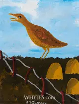 Patsy Dan Rodgers, CORNCRAKE