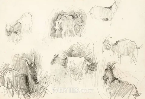 Walter Osborne, STUDY OF GOATS, pencil