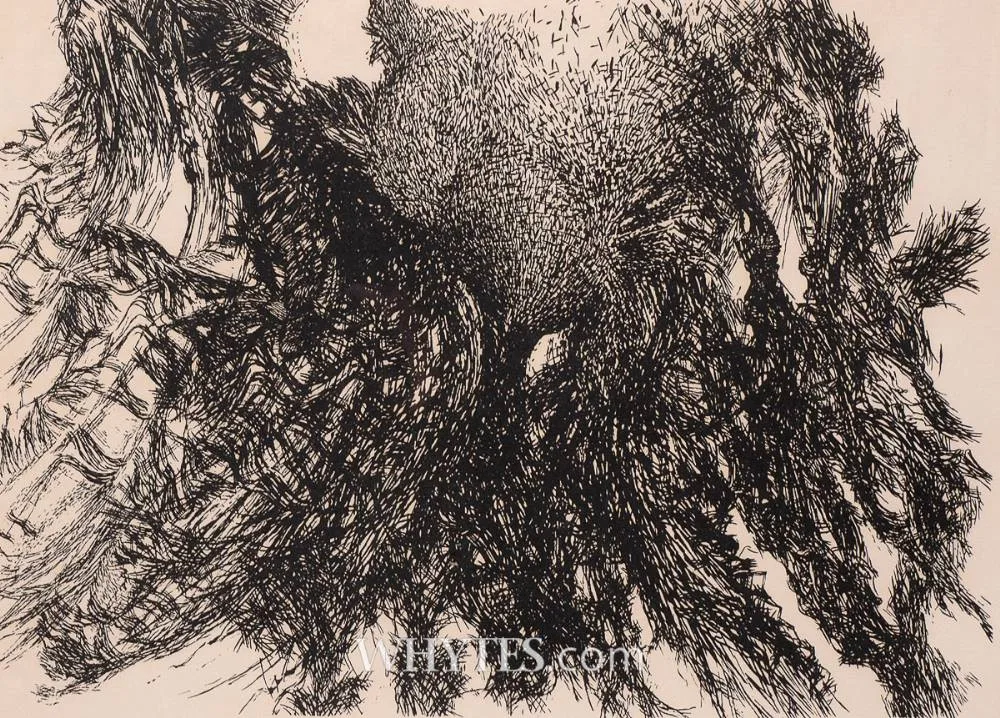 Paul Mosse, WATERHEN, 1983, etching; (no. 2 from an edition of 25)