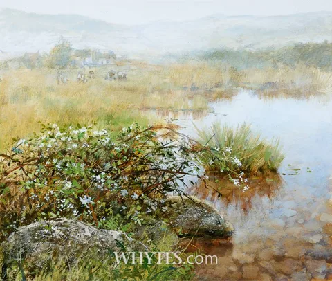 Joop Smits, BLACKBERRY BUSH, oil on board