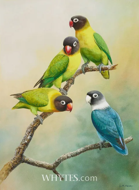 David Morrison Reid Henry, LOVEBIRDS, gouache