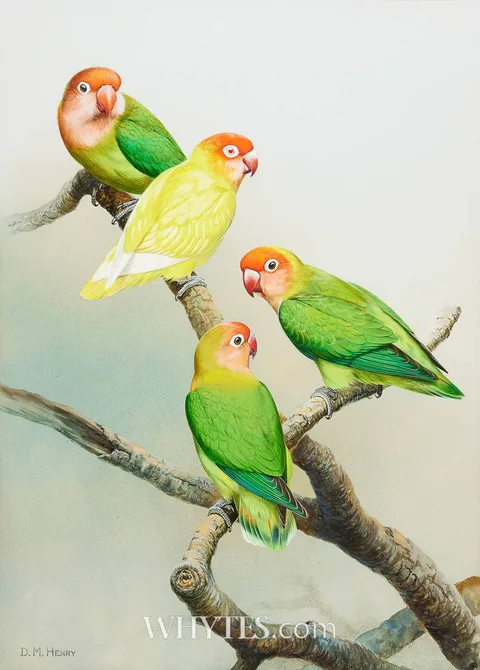 David Morrison Reid Henry, LOVEBIRDS, gouache