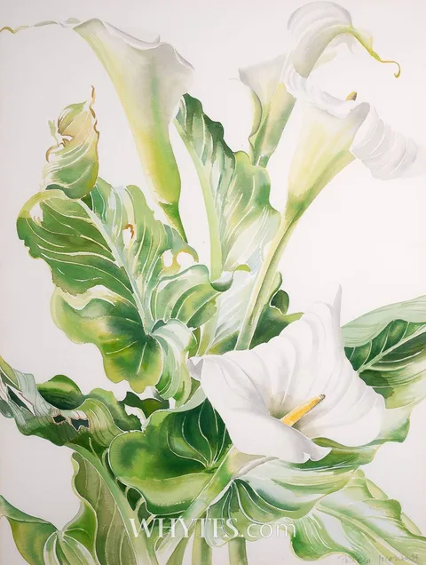 Patricia Jorgensen, ARUM LILIES, 1994, watercolour