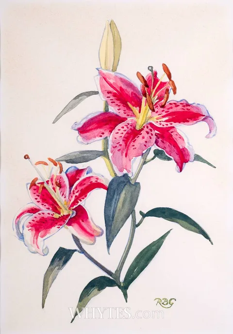 STARGAZER LILY by Rosaleen Brigid Ganly, watercolour, sold Jun 2026