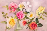 Geraldine O'Brien, SUMMER ROSES