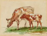 Walter Osborne, STUDY OF COW AND CALF