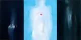 Louis le Brocquy, STATES OF BEING 2, 1964 (TRIPTYCH)