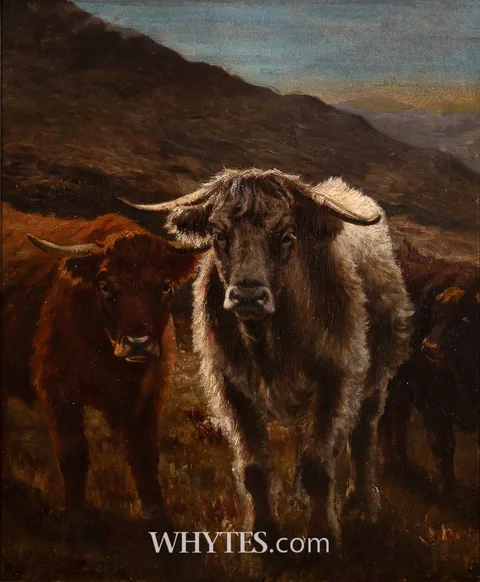 Augustus Nicholas Burke, HIGHLAND CATTLE, oil on canvas
