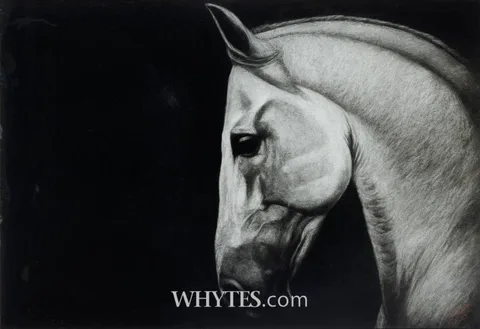 Paddy Lennon, HORSE STUDY, 2006, charcoal