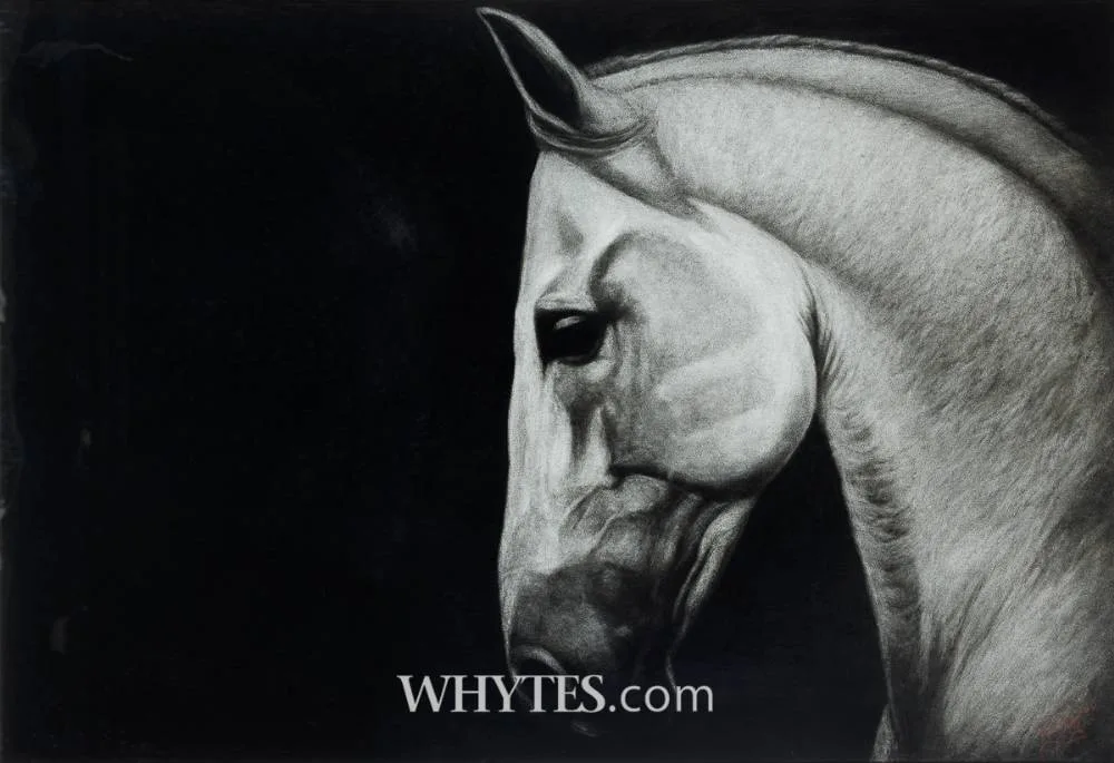 HORSE STUDY by Paddy Lennon, 2006, charcoal, offered May 2026