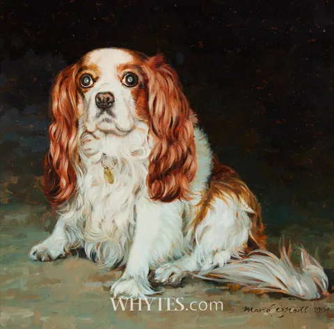 Mark O'Neill, CAVALIER KING CHARLES SPANIEL STUDY, 1994, oil on board