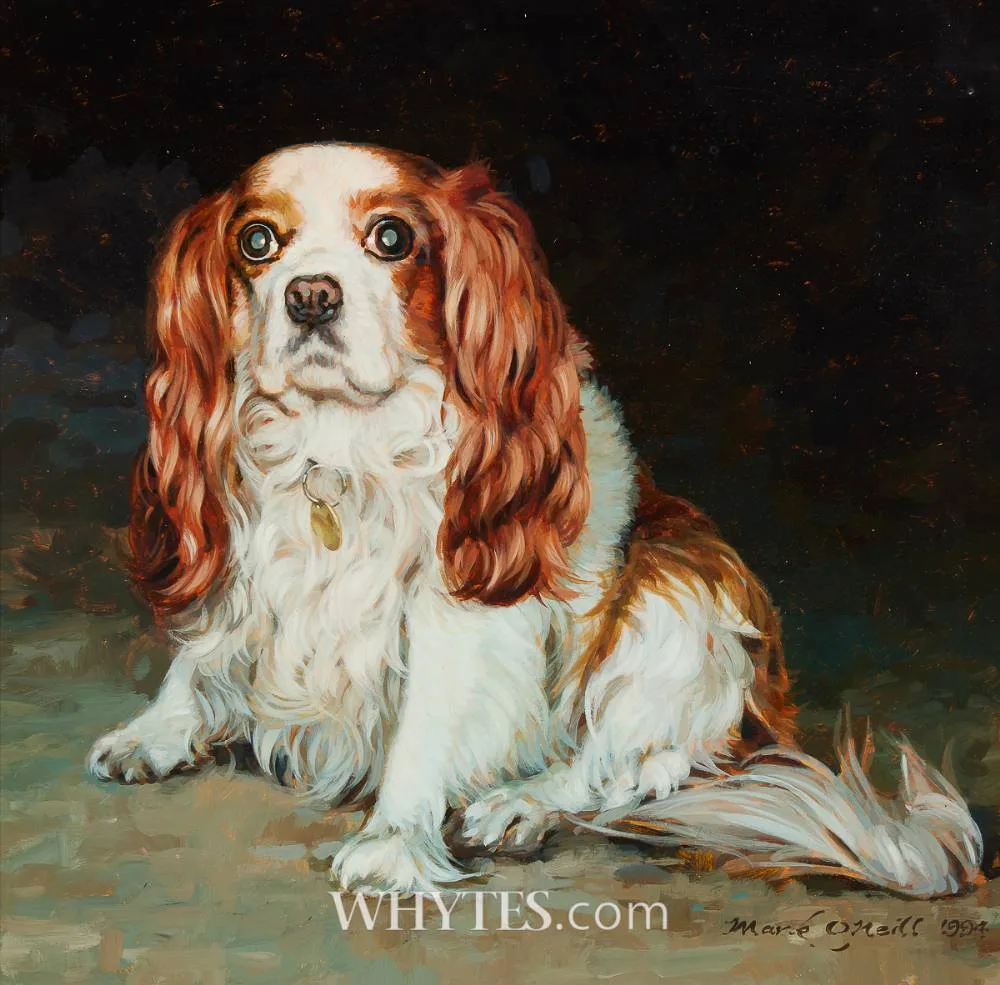 CAVALIER KING CHARLES SPANIEL STUDY by Mark O'Neill, 1994, oil on board, offered May 2026