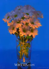 Conor Walton, FLOWERS