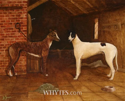 Desmond Snee, GREYHOUNDS, oil on board