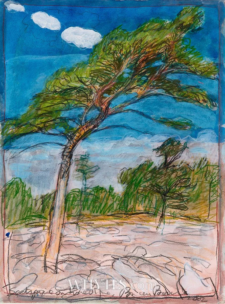 SCOTSPINE ON LIMESTONE by Brian Bourke, 2002, mixed media, offered Mar 2026