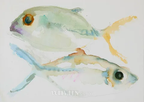 Barrie Cooke, QUINTANA ROO, MEXICO, 2003, watercolour and pencil