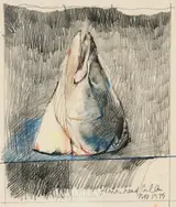 Michael Cullen, SALMON HEAD