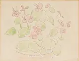 Melanie Le Brocquy, FLOWER POT