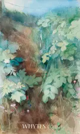 WILD FLOWERS, Whyte's 2026