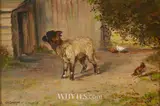 Robert McGregor, SHEEP AND CHICKENS