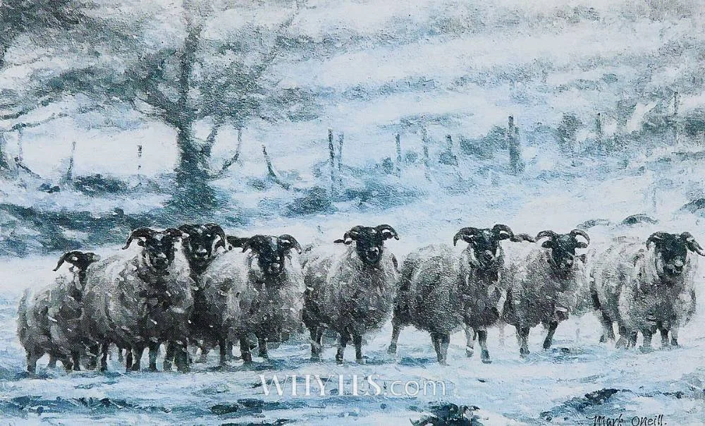 Mark O'Neill, WEATHERING THE STORM, photoprint; (no. 47 from an edition of 200)