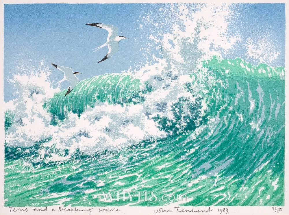 John Tennent, TERNS AND A BREAKING WAVE, 1989, print; (no. 39 from an edition of 65)